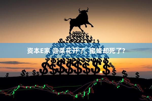资本E家 油菜花开了, 蜜蜂却死了?